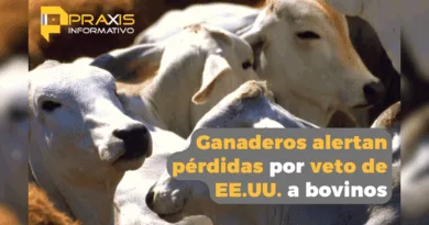 Ganaderos alertan pérdidas por veto de EE.UU. a bovinos
