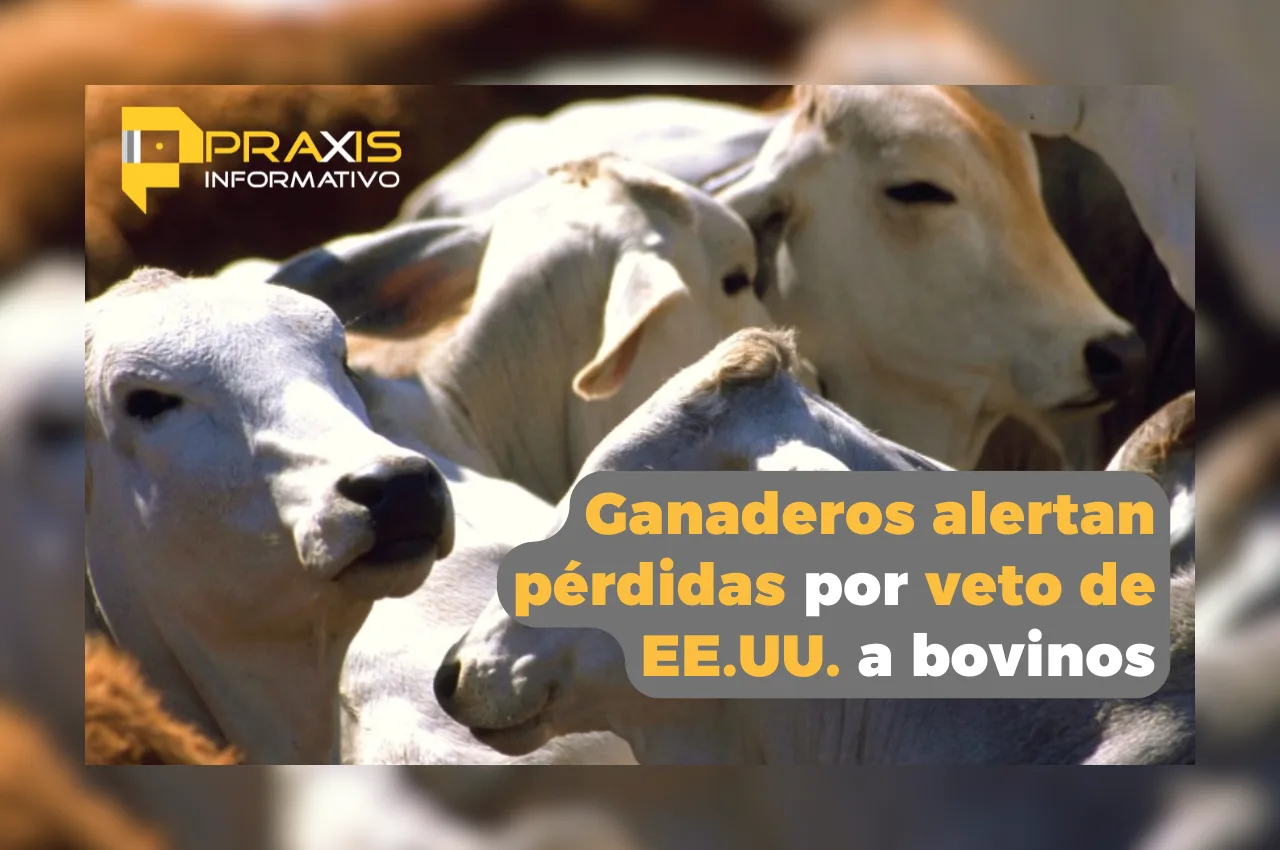 Ganaderos alertan pérdidas por veto de EE.UU. a bovinos